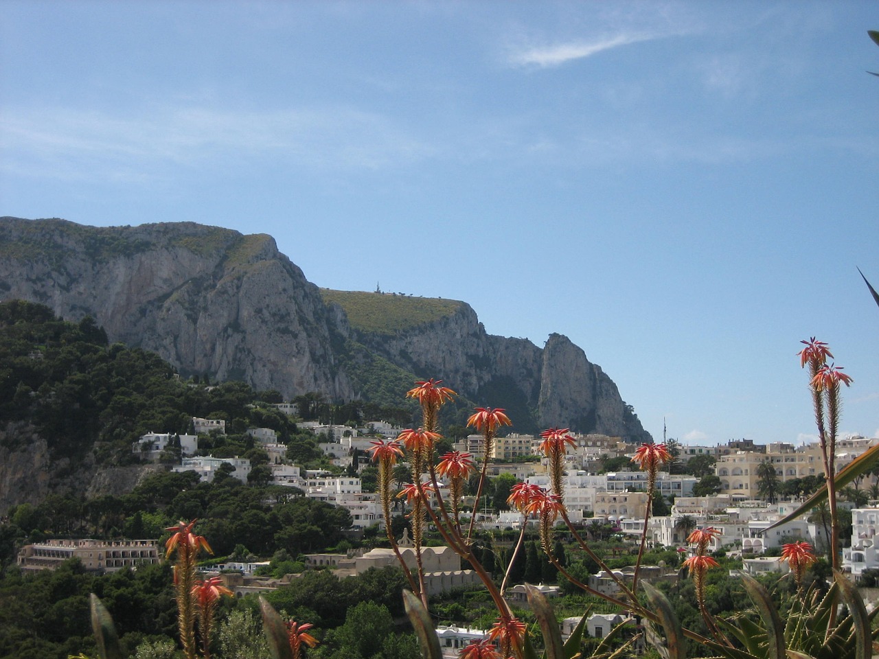 Capri, Vaizdingas, Gėlės, Kelionės Tikslas, Kraštovaizdis, Ispanų, Nemokamos Nuotraukos,  Nemokama Licenzija