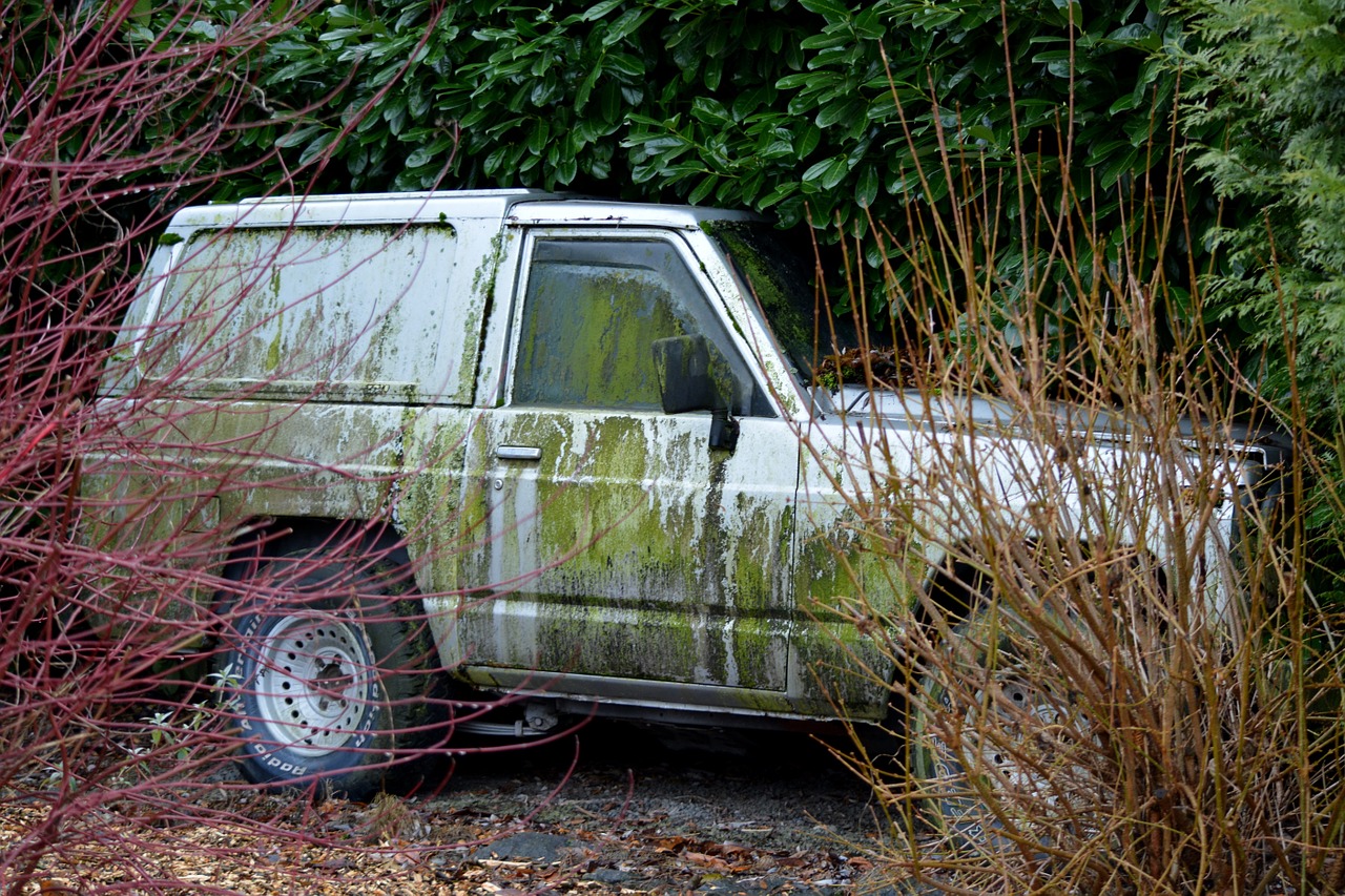 Automobilis, Jeep, Purvas, Nemokamos Nuotraukos,  Nemokama Licenzija