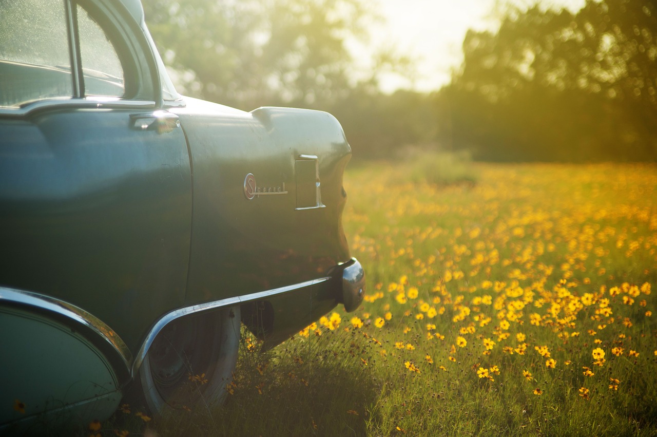 Automobilis, Automobiliai, Vintage, Senoji Mokykla, Laukas, Žolė, Augalai, Gėlės, Gamta, Saulės Šviesa