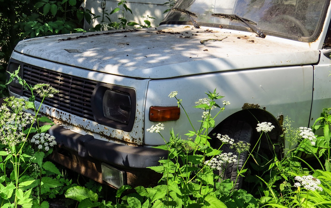 Automobilių Kapinės, Nerūdijantis, Nerūdijantis Karre, Wartburg Pilis, Ddr, Nostalgija, Senas, Automatinis, Nemokamos Nuotraukos,  Nemokama Licenzija