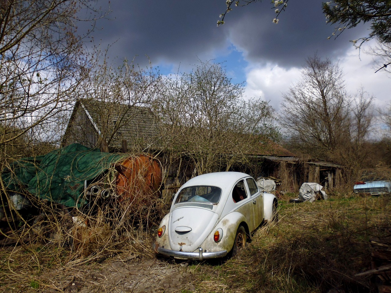 Automobilių Kapinės, Laužas, Nuolaužos, Junkyard, Nerūdijantis, Vw, Vw Vabalas, Vabalas, Automatinis, Metalo Laužas