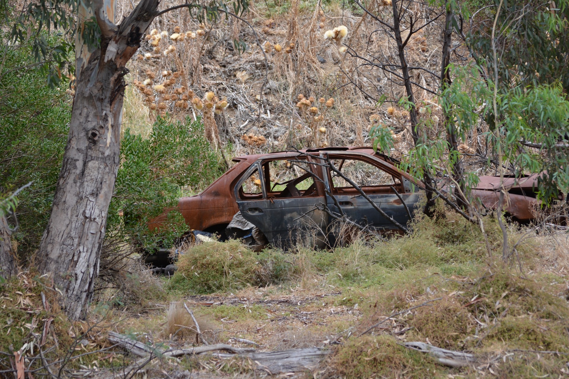 Automobilis,  Nuolaužos,  Australia,  Australija & Nbsp,  Krūmas,  Automobilio Avarija, Nemokamos Nuotraukos,  Nemokama Licenzija