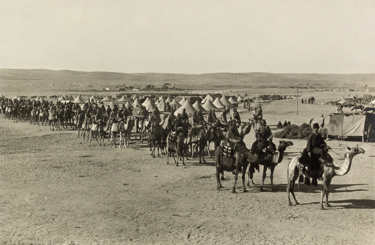 Kemperis, Kupranugariai, Beersheba, 1915, Juoda Ir Balta, Žmonės, Žmogus, Saudo Arabija, Atsargos, Suez