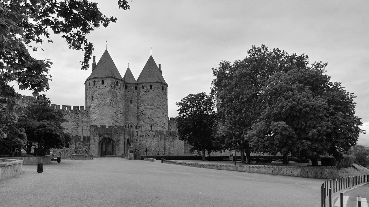 Carcassonne, France, Viduramžių Miestas, Porte Narbonnaise, Įėjimas, Nemokamos Nuotraukos,  Nemokama Licenzija