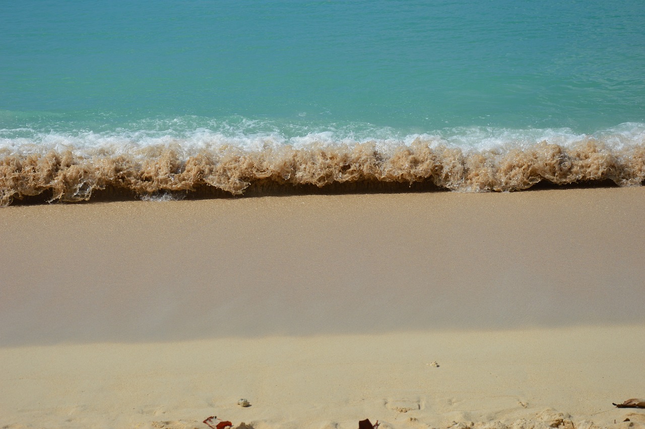 Karibai, Smėlėtas Paplūdimys, Gvadelupa, Nemokamos Nuotraukos,  Nemokama Licenzija
