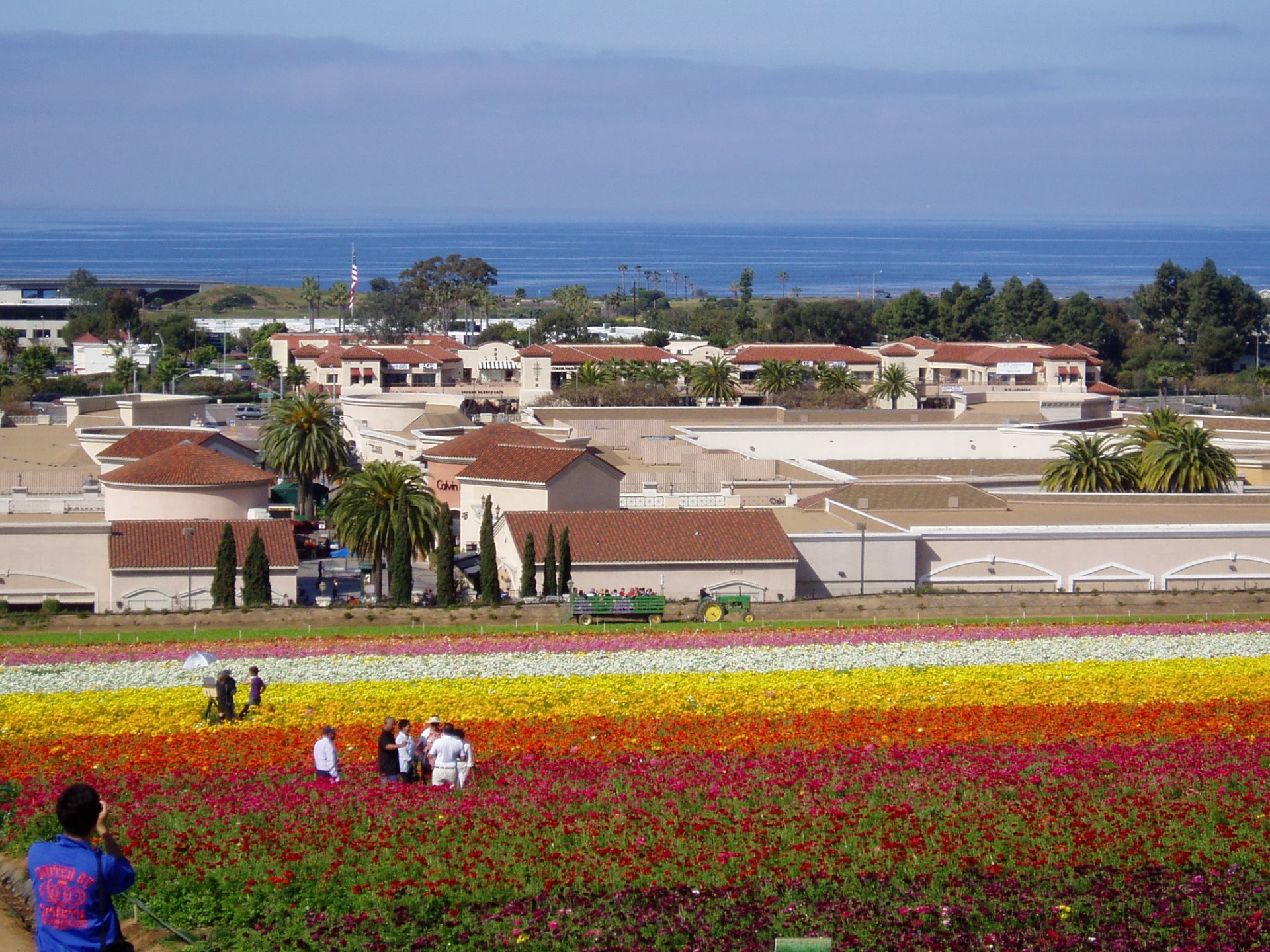 Carlsbad Ca Backpage