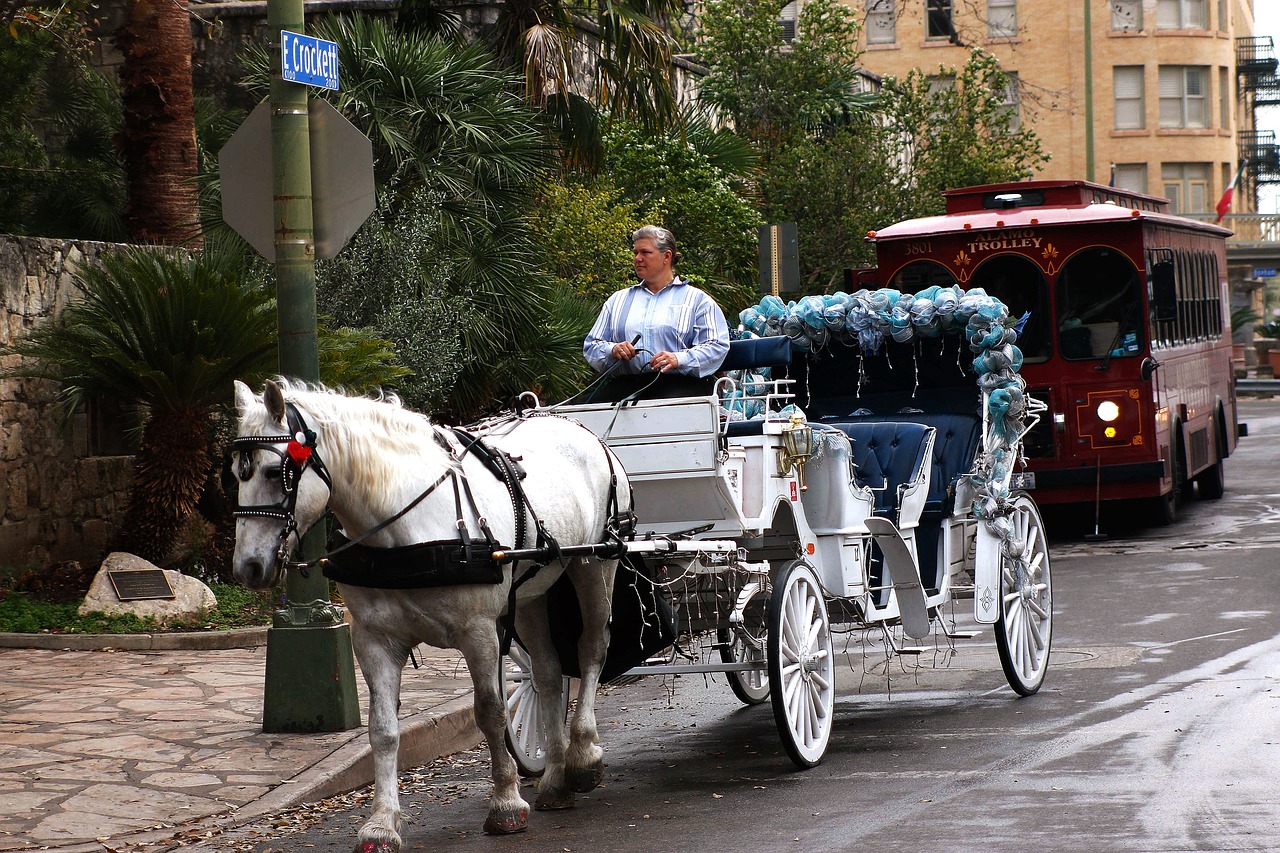 Vežimas, Žirgais, Vežimėlis, Gabenimas, Arklys, Senas, Kelionė, Tradicinis, Turizmas, Transportas