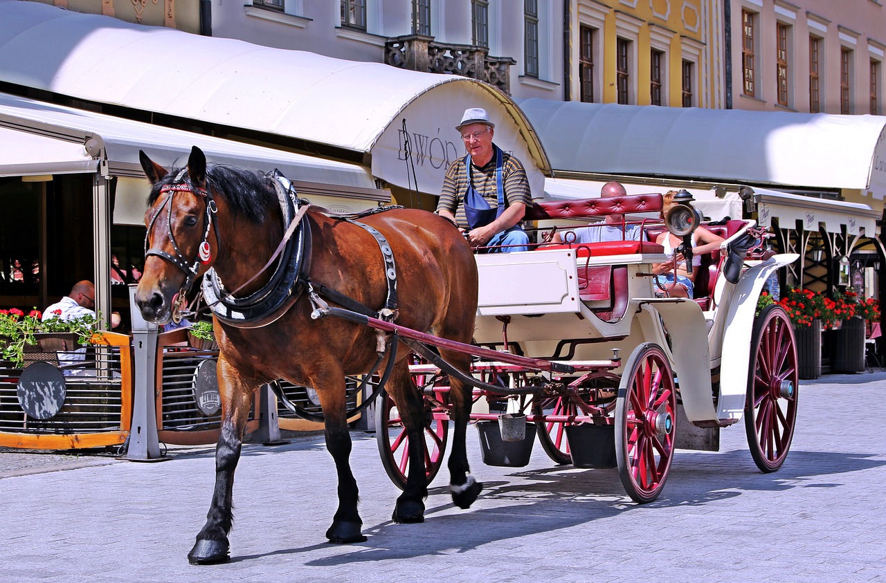 Vežimas, Arklys, Turistai, Transportas, Miestas, Gatvė, Miestas, Gabenimas, Tradicija, Turistinis