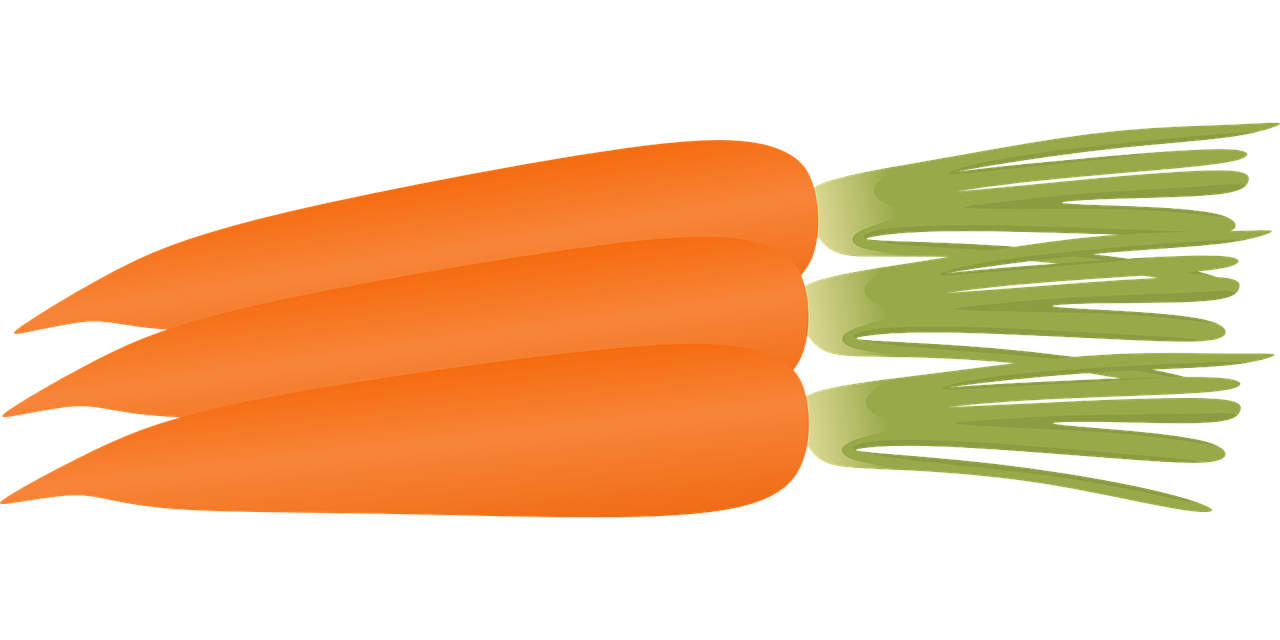 Morkos, Daržovių, Oranžinė, Vegetariškas, Maistas, Sodininkystė, Nemokama Vektorinė Grafika, Nemokamos Nuotraukos,  Nemokama Licenzija