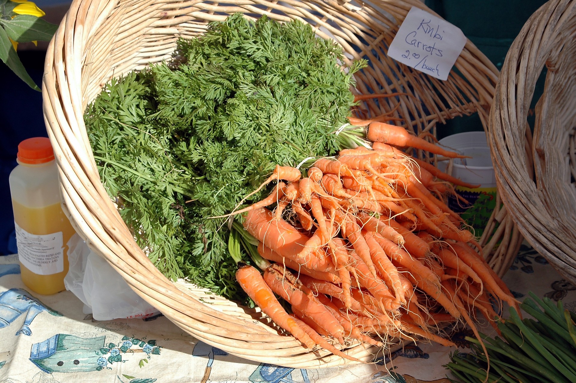 Морковь дикая купить. Морская морковь. Морковь в магазине.