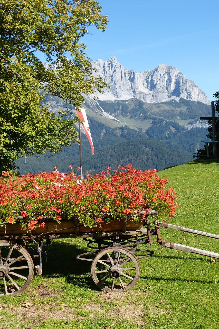 Krepšelis, Gėlių Dekoracijos, Wilderkaiser, Romantiškas, Ornamentas, Nemokamos Nuotraukos,  Nemokama Licenzija