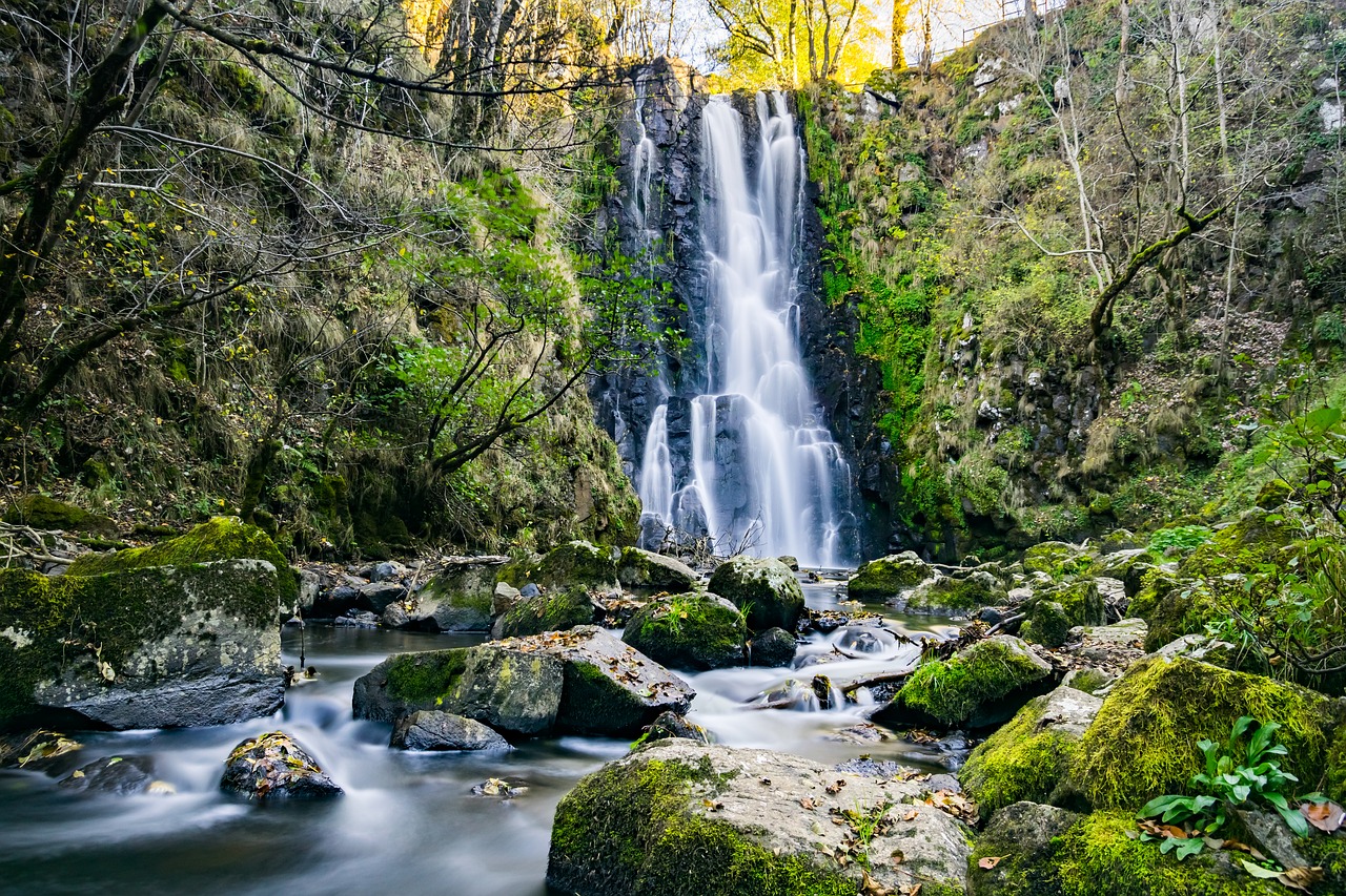 Kaskados, Kritimas, Upė, Vanduo, Gamta, Vandens Telkiniai, Kraštovaizdis, Kanada, Kriokliai, Kritimo