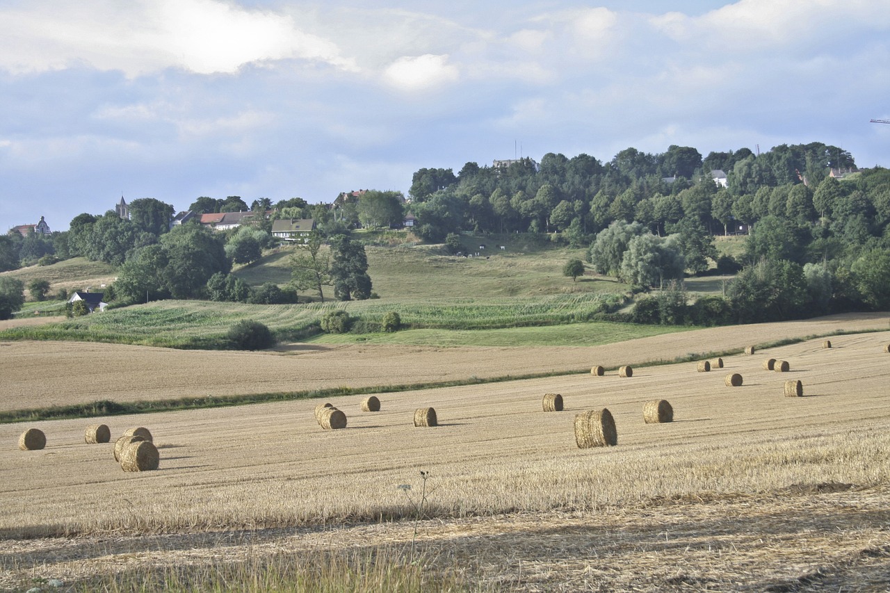 Cassel, France, Derlius, Ūkininkavimas, Kraštovaizdis, Žemdirbystė, Europa, Prancūzų Kalba, Šalis, Žemės Ūkio