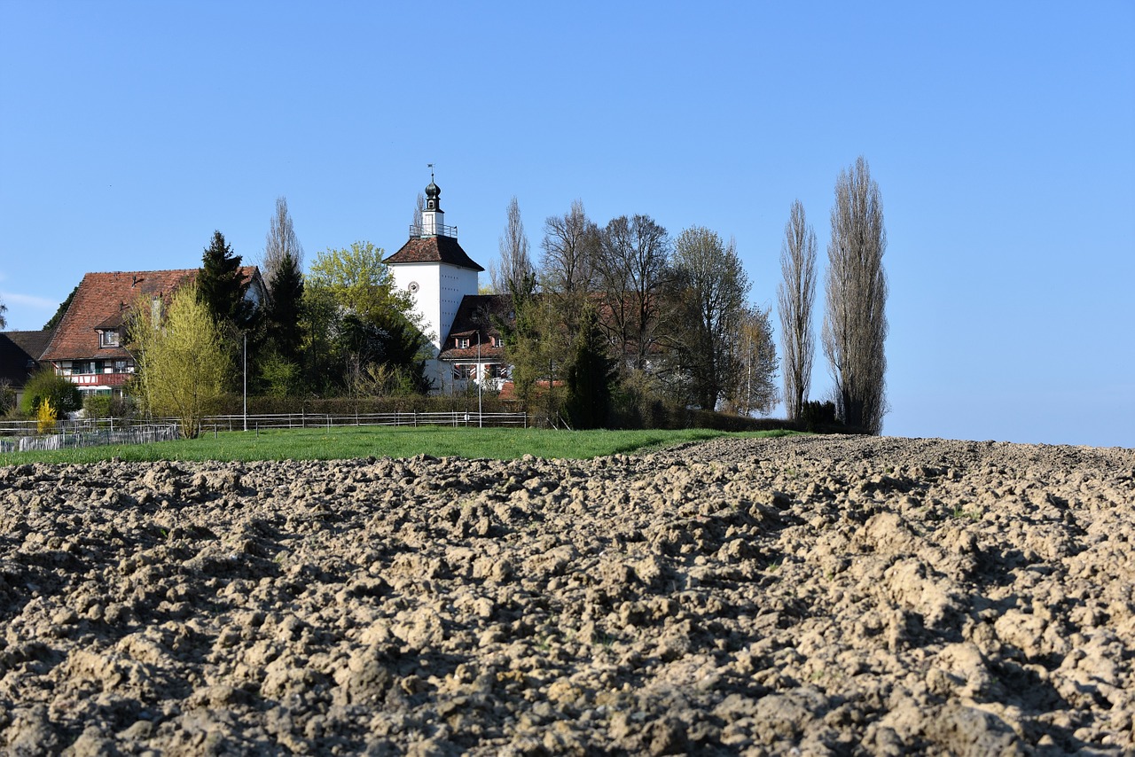 Pilis, Ariamasis, Kraštovaizdis, Žemdirbystė, Medis, Žemė, Laukas, Nemokamos Nuotraukos,  Nemokama Licenzija