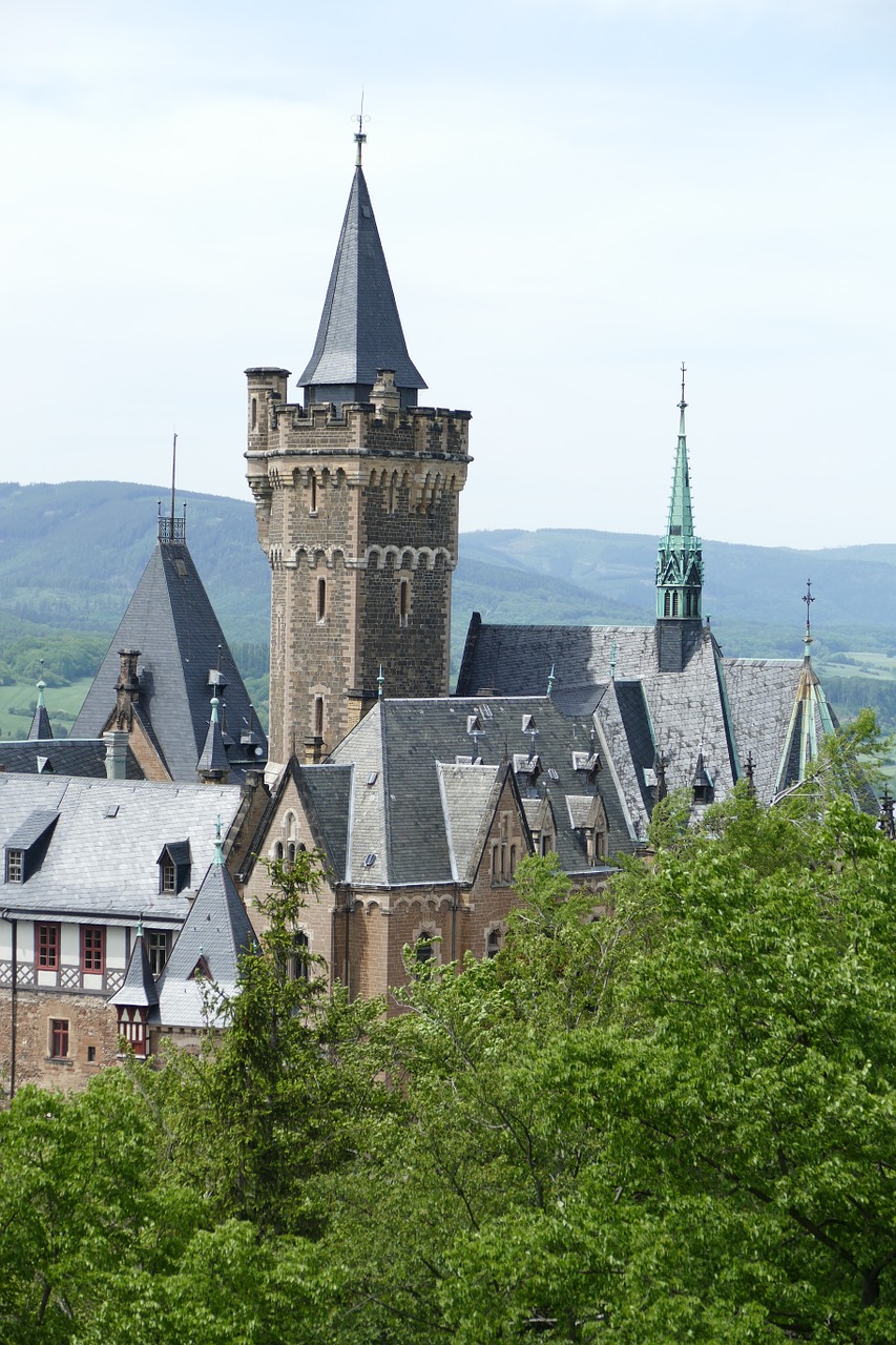 Pilis, Wernigerode, Miškas, Gamta, Viduramžiai, Tvirtovė, Nemokamos Nuotraukos,  Nemokama Licenzija