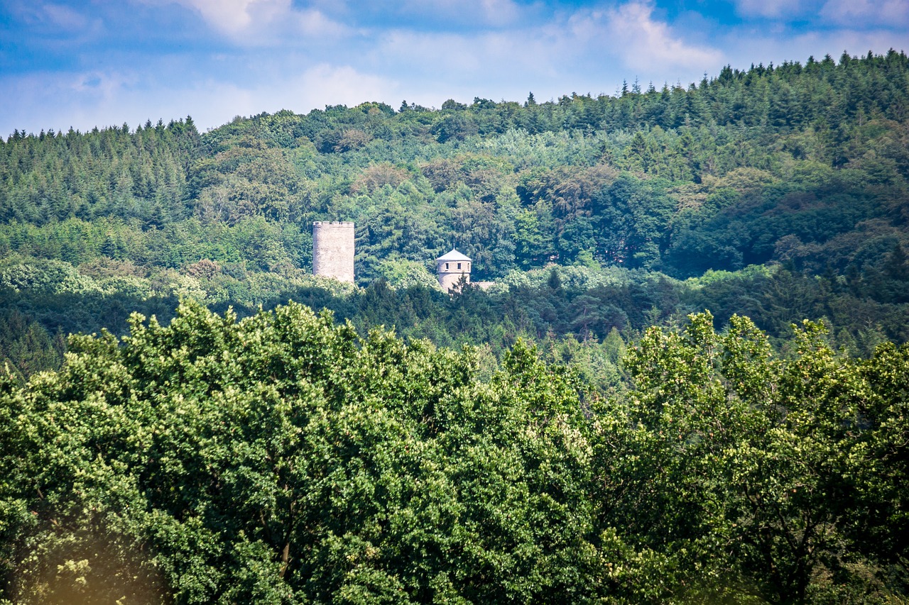 Pilis, Laufenburgas, Aukštis Burg, Miškas, Eifel, Langerwehe, Vokietija, Kelionės Tikslas, Idiliškas, Paslėpta