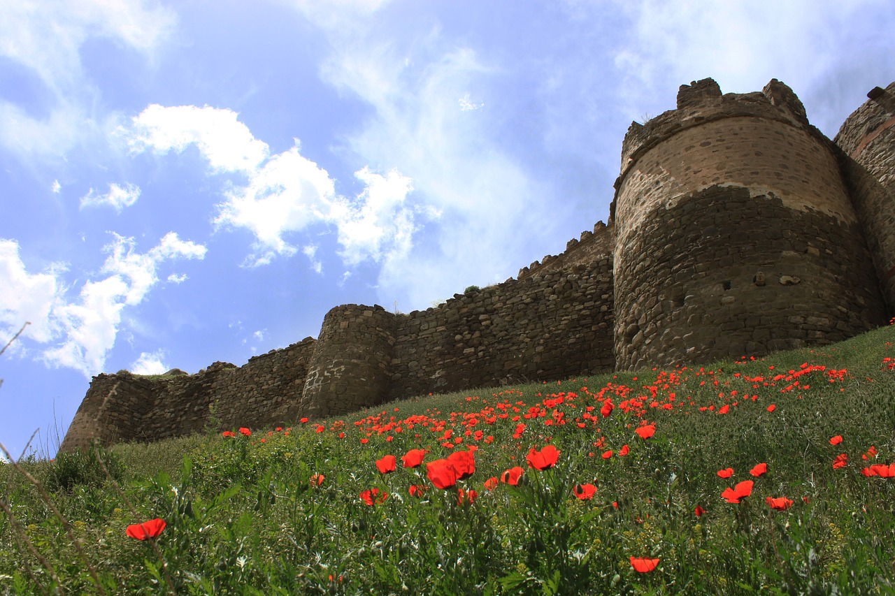 Pilis, Mus, Hosapo Pilis, Papaver Rhoeas, Gamta, On, Istoriniai Darbai, Nemokamos Nuotraukos,  Nemokama Licenzija