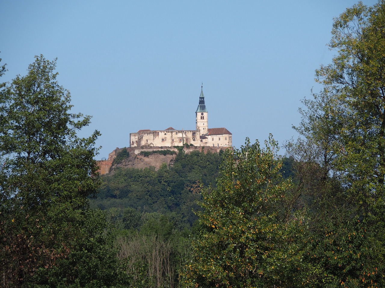 Pilis, Burgenlandas, Ežeras, Vanduo, Gamta, Bankas, Nendrė, Vandens Paukštis, Veidrodis, Plaukti