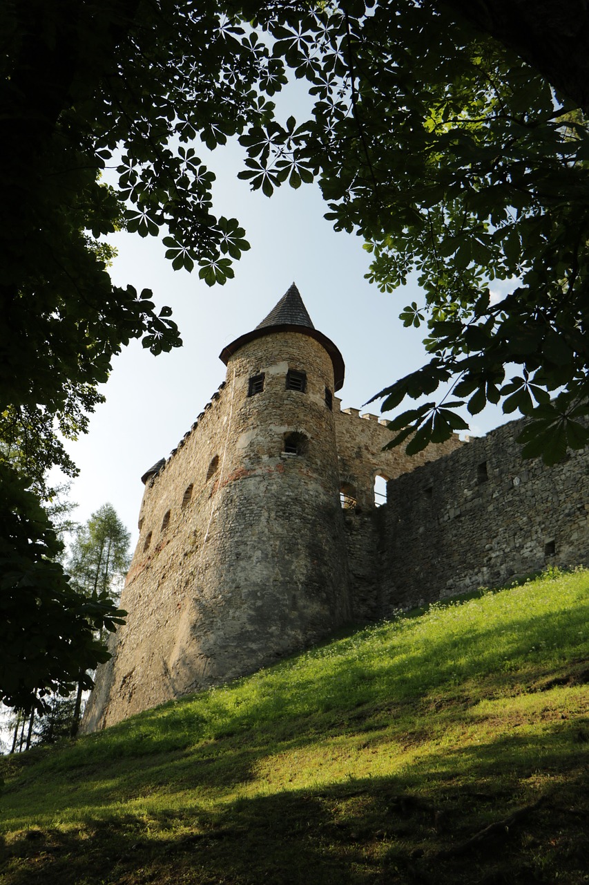 Pilis, Rėminimas, Žalias, Senas, Akmuo, Viduramžių, Medžiai, Natūralus, Nemokamos Nuotraukos,  Nemokama Licenzija