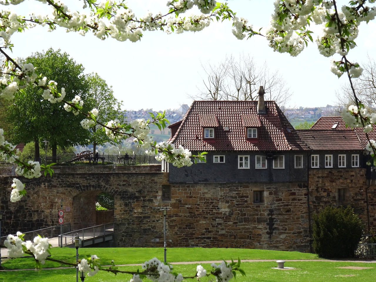 Pilis,  Esslingen,  Pavasaris,  Žydi,  Gėlės,  Medis,  Architektūra,  Namas,  Žolė,  Senas