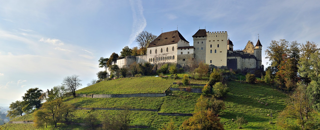 Pilis,  Rūmai,  Namas,  Viduramžiai,  Metai,  Architektūra,  Panorama,  Lencburgas,  Šveicarija,  Aargau