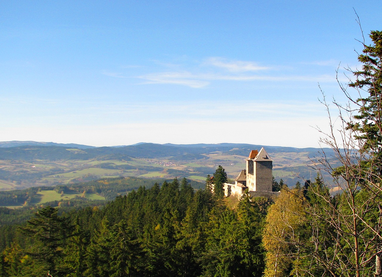 Pilis,  Čekija,  Kraštovaizdis,  Miškas,  Mediena,  Pobūdį,  Kalvos,  Medžiai,  Gotika, Nemokamos Nuotraukos