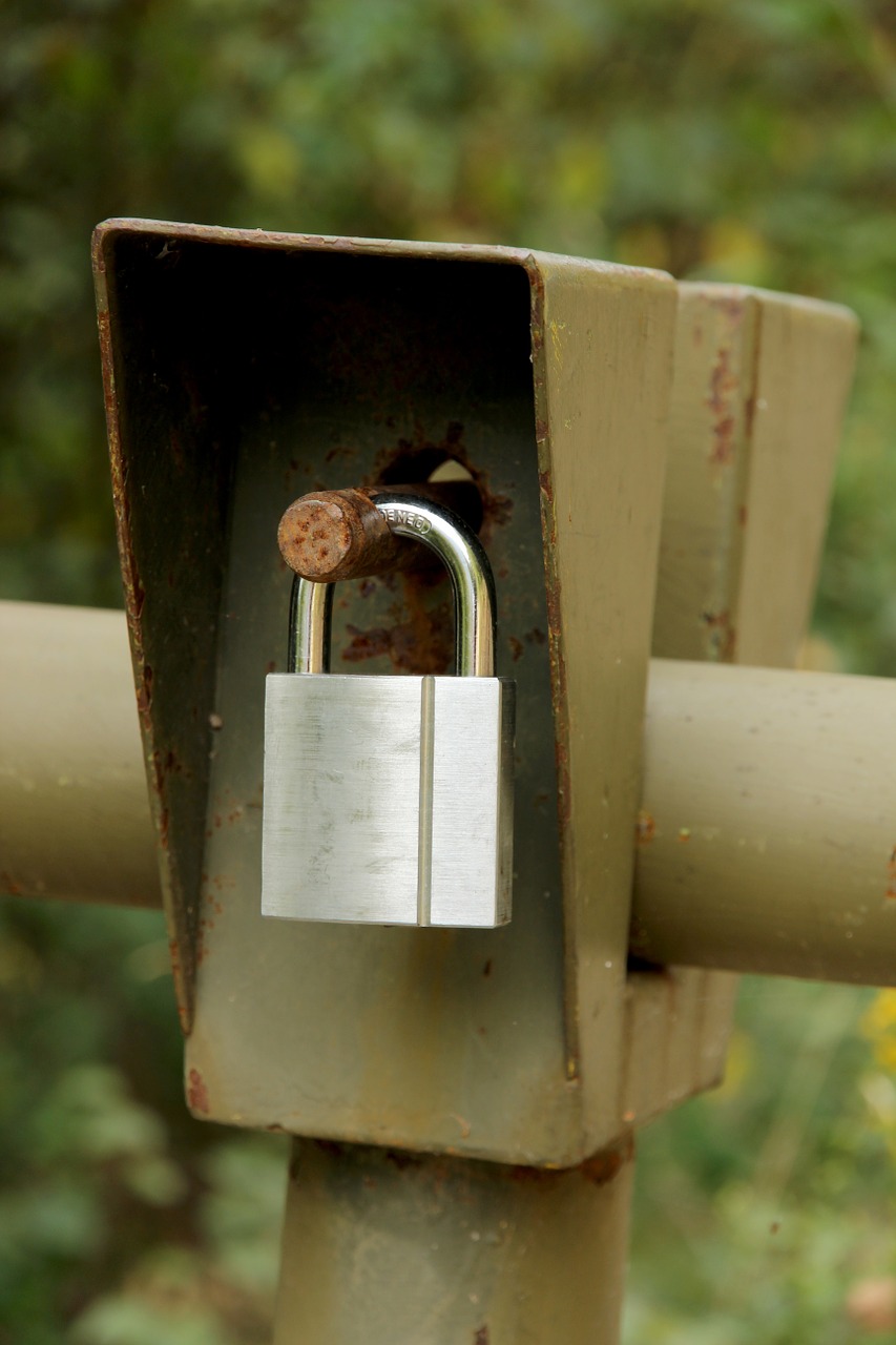 Pilis, Uždaryta, Užraktas, Į, Uždaryti, Barjeras, Nemokamos Nuotraukos,  Nemokama Licenzija