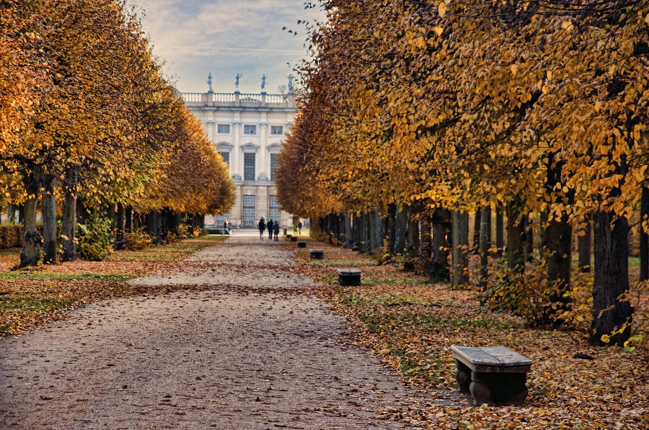 Pilis Charlottenburg, Pilies Parkas, Berlynas, Ruduo, Schlossgarten, Pilis, Parkas, Alėja, Toli, Medžiai