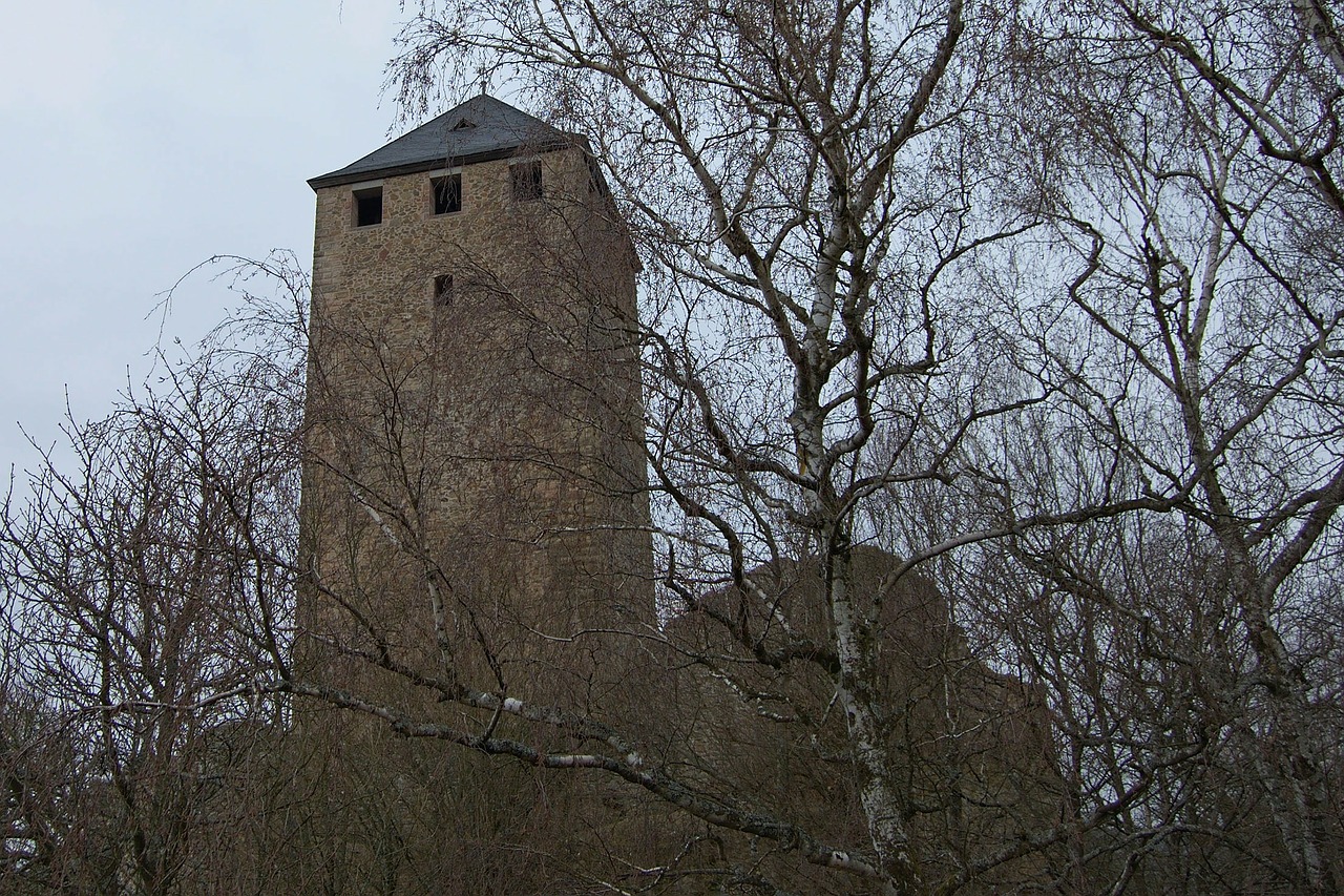 Pilis Lichtenbergas, Pilis, Burgūrijos, Kusel, Rheinland-Pfalz, Ruduo, Sugadinti, Viduramžiai, Bokštas, Jaunimo Nakvynės Namai