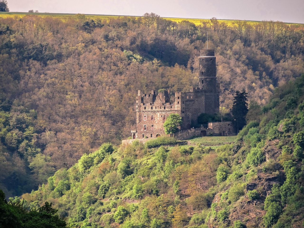 Pilies Pele, Pilis, Rinas, Raptoriai, Vidurio Reino Slėnis, Vokietija, Sachsen, Rheinland, Architektūra, Tvirtovė