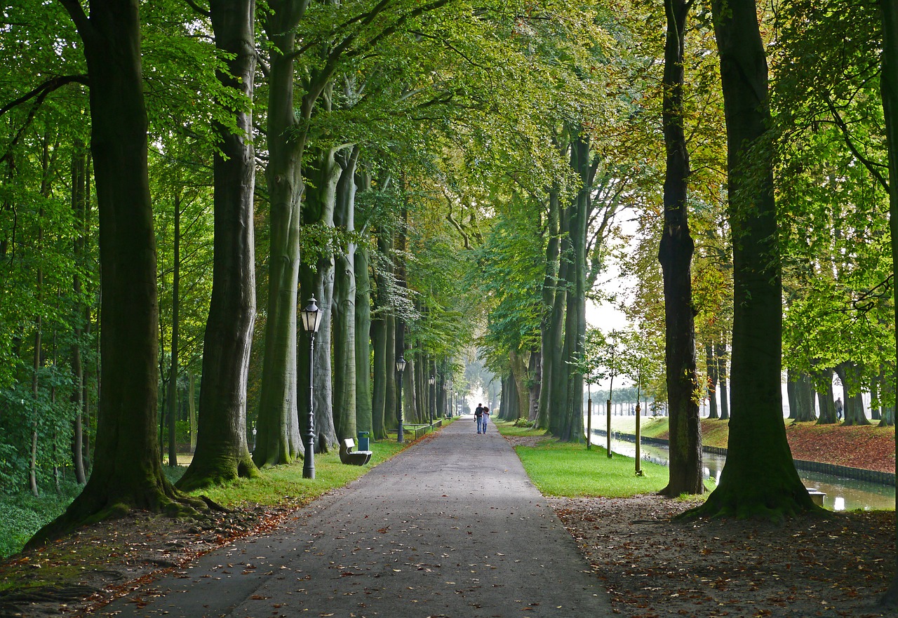 Pilies Parkas, Šiaurės Bažnyčios, Moatiška Pilis, Moat, Istoriškai, Münsterland, Sodo Sodas, Alėja, Ruduo, Frühherbst