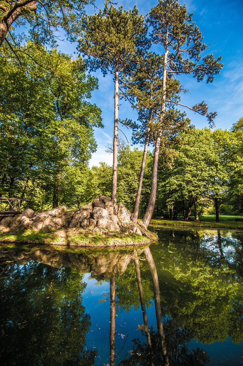 Pilies Parkas,  Ežeras,  Pilis,  Tvenkinys,  Istoriškai,  Schlossgarten,  Nuotaika,  Atspindys, Nemokamos Nuotraukos,  Nemokama Licenzija