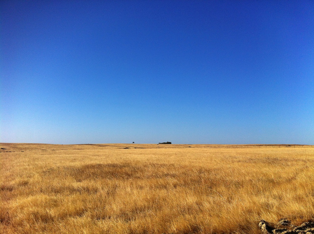 Castro Verde,  Beja,  Alentejo,  Portugal,  Vasara,  Dykumėjimas,  Laukas,  Tvora, Nemokamos Nuotraukos,  Nemokama Licenzija