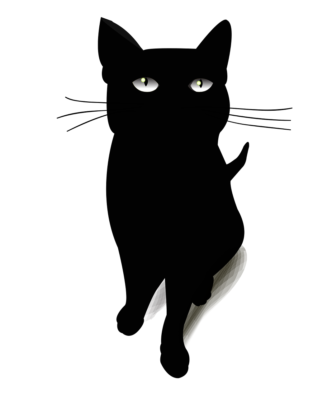 Katė, Blackcat, Juoda Katė, Vektorius, Kačių, Naminis Gyvūnėlis, Katės Akys, Naminiai Gyvūnai, Kačių Sustojo, Juoda