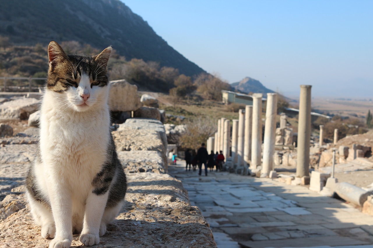 Katė, Turkija, Griuvėsiai, Nemokamos Nuotraukos,  Nemokama Licenzija