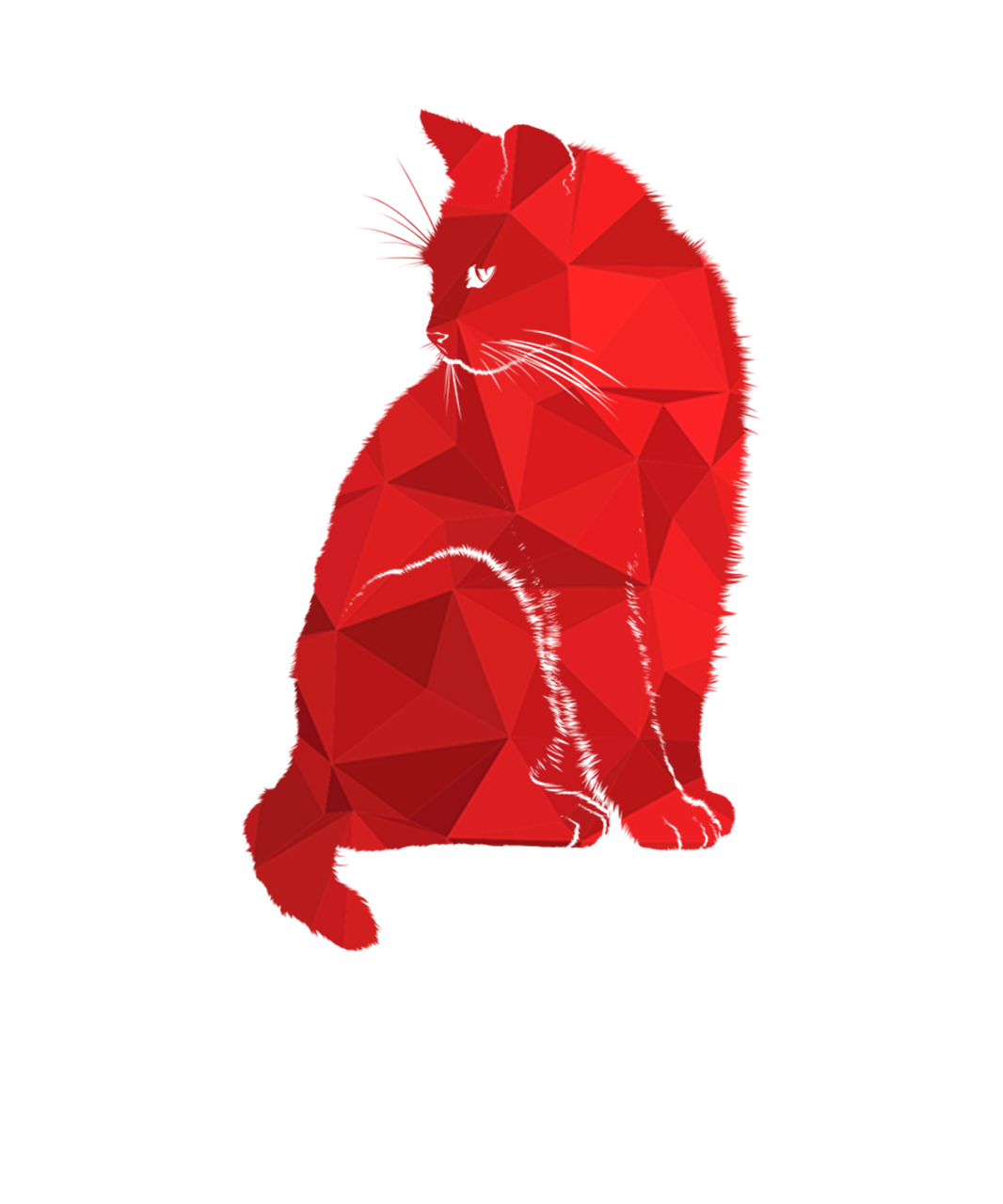 Katė,  Raudona Katė,  Rožinė Katė,  Katė Miror Poly,  Poli,  Trikampio Formos,  3D Forma,  Katės Akcija,  Katės Wiki,  Katės Vaizdas