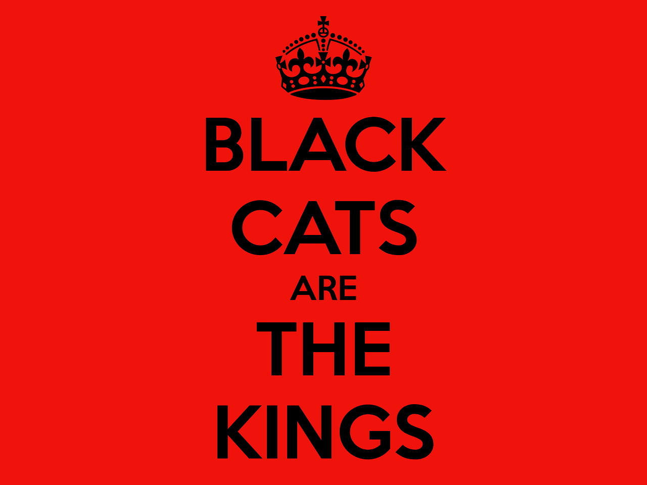 Katė, Juoda Katė, Juodos Katės Įvertinimo Diena, Karalius, Juoda, Raudona, Pranešimas, Citata, Nemokamos Nuotraukos,  Nemokama Licenzija