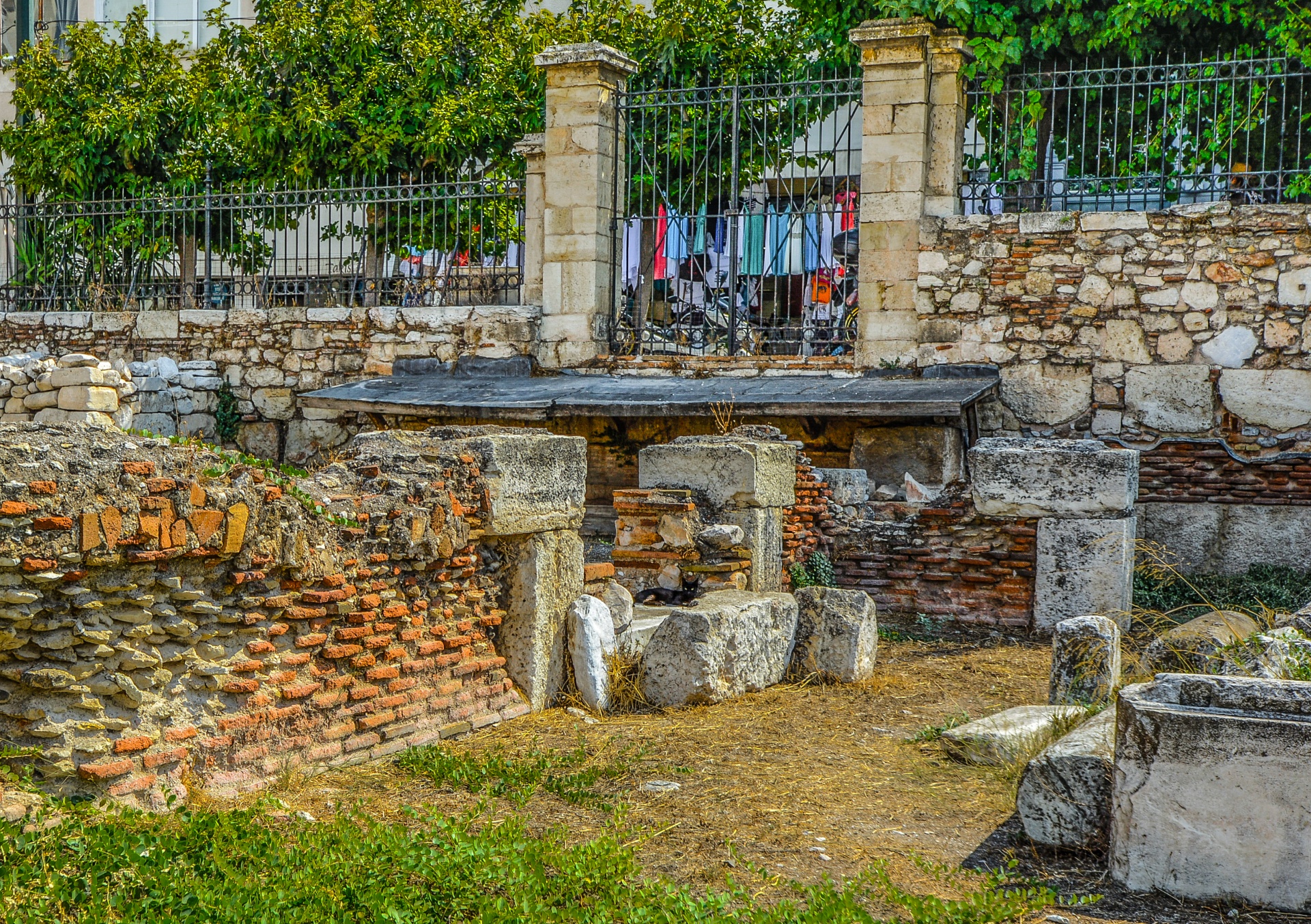 Katė,  Griuvėsiai,  Graikų Kalba,  Graikija,  Kačių,  Senovės,  Turizmas,  Šventykla,  Atsipalaiduoti,  Ekskursijos