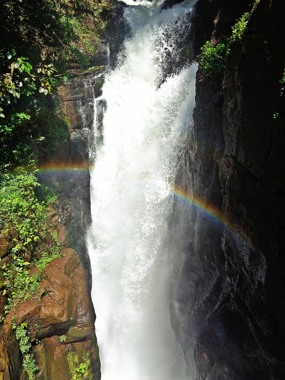 Cataratas Do Iguaçu, Brazilija, Krioklys, Upė, Ekranas, Nemokamos Nuotraukos,  Nemokama Licenzija