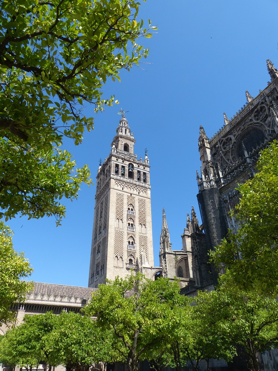 Katedra, Giralda, Plaza Virgin De Los Reyes, Sevilija, Andalūzija , Nemokamos Nuotraukos,  Nemokama Licenzija