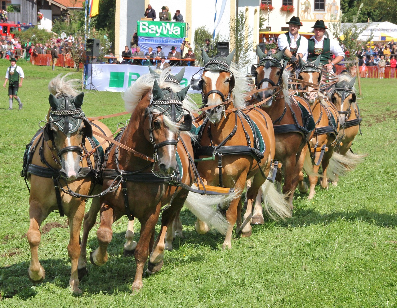 Kavalerija,  Žmogus,  Arklys,  Reiter,  Indai,  Varzybos,  Lenktynės,  Judėjimas,  Veiksmas,  Šokti