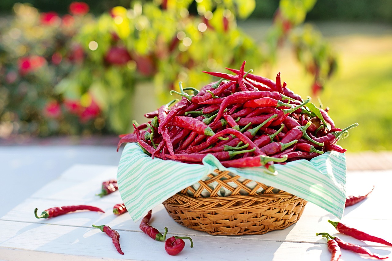 Cayenne Pipirai, Raudonieji Pipirai, Karštieji Pipirai, Derlius, Cayenne, Maistas, Virimo, Šviežias, Ingredientas, Nemokamos Nuotraukos