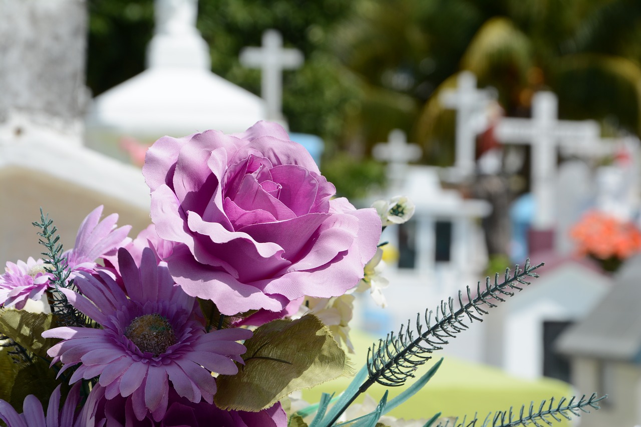 Cementerio, Floras, Kapinės, Mirtis, Kapas, Miręs, Gėlės, Laidotuves, Laidojimo Gėlės, Religija