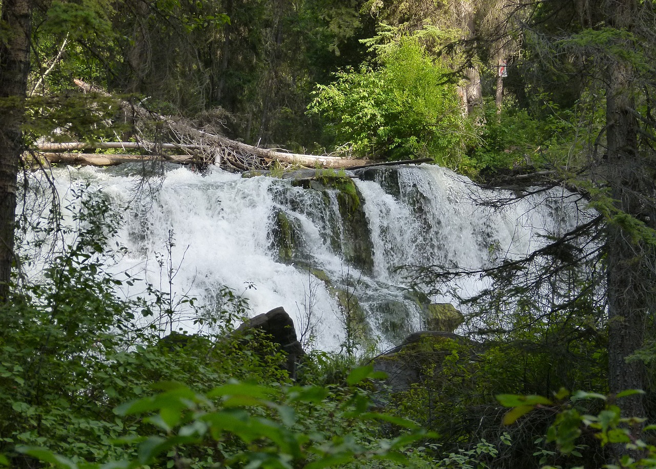 Centennial Falls, Skuba, Vanduo, Gamta, Natūralus Vanduo, Peizažas, Kraštovaizdis, Britų Kolumbija, Kanada, Natūralus