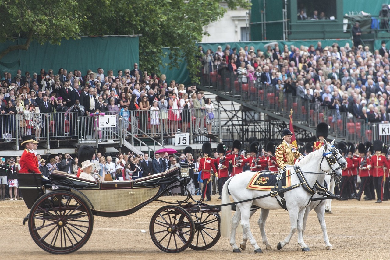 Ceremonija, Karinis Paradas, Aukoti Spalvą, Karalienė, Gimtadienis, Pėdų Apsaugai, Kovo Mėn. Praeityje, Kariai, Namų Ūkio Padalinys, Whitehall