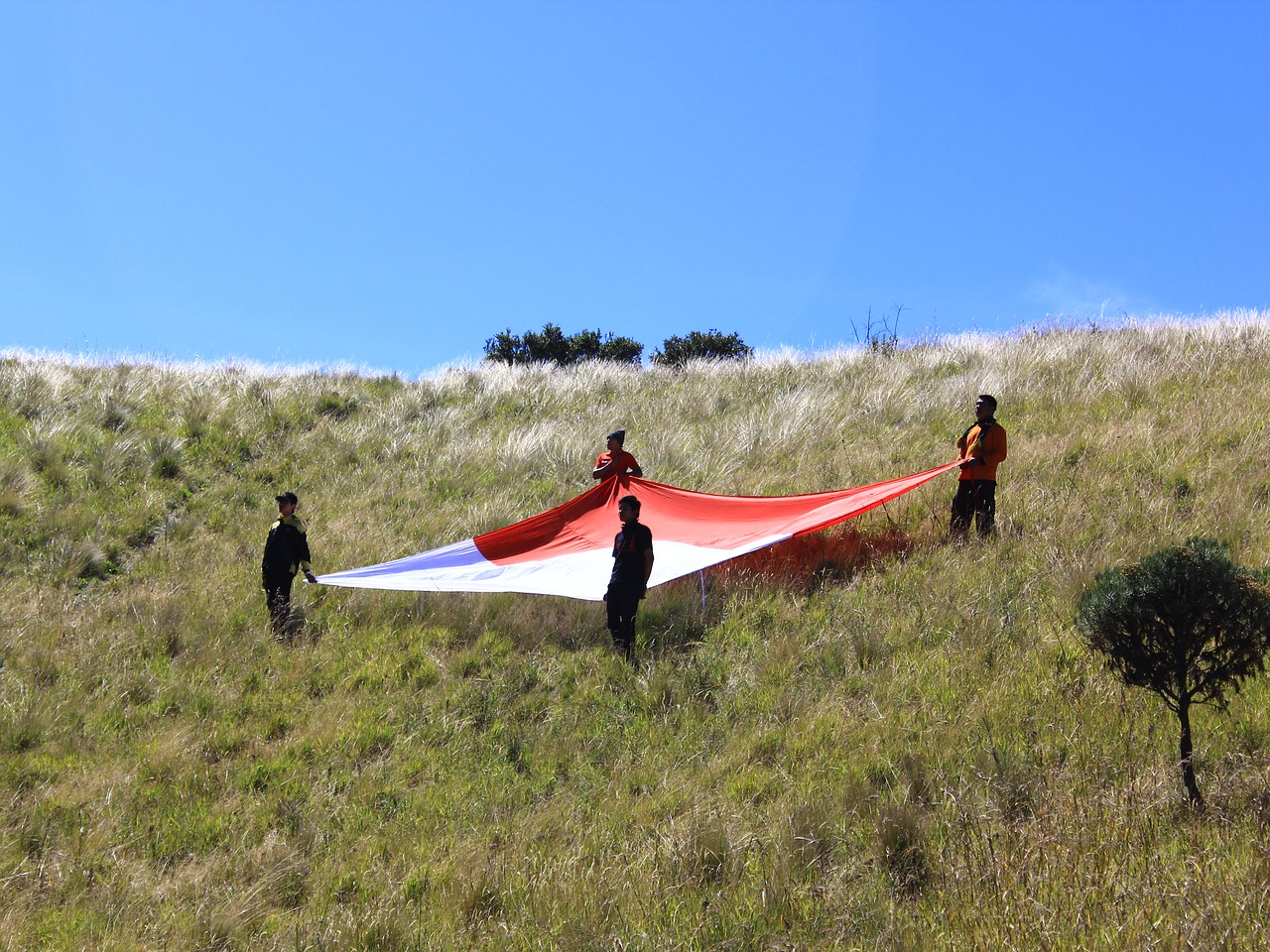 Ceremonija, Savana, Mėlynas Dangus, Dangus Yra Mėlynas, Vaizdas, Indonesian, Merbabu, Centrinė Java, Gražus, Gamta