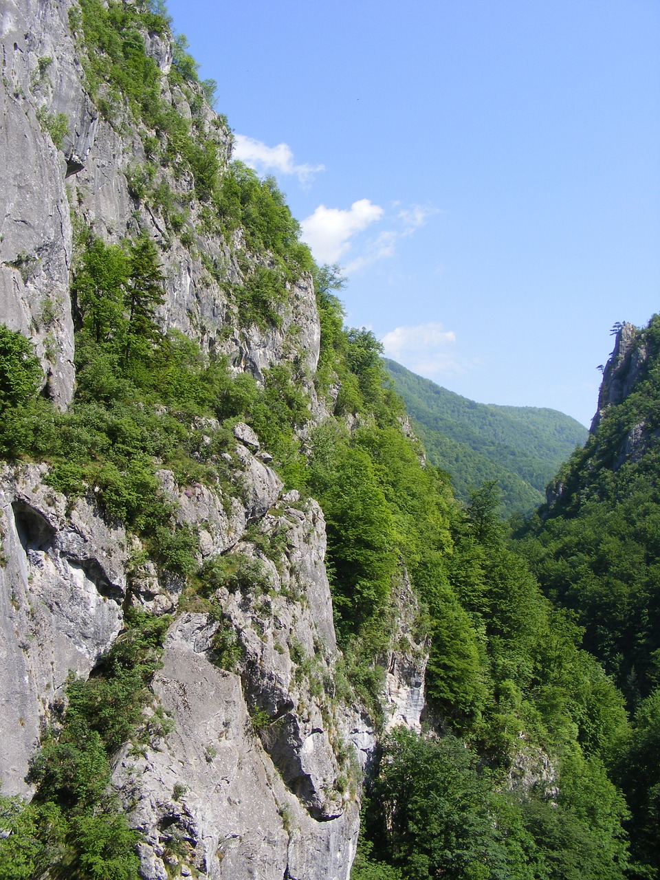 Cerna, Godeanu, Kalnai, Retezatas, Kelias, Kelionė, Slėnis, Gamta, Nemokamos Nuotraukos,  Nemokama Licenzija