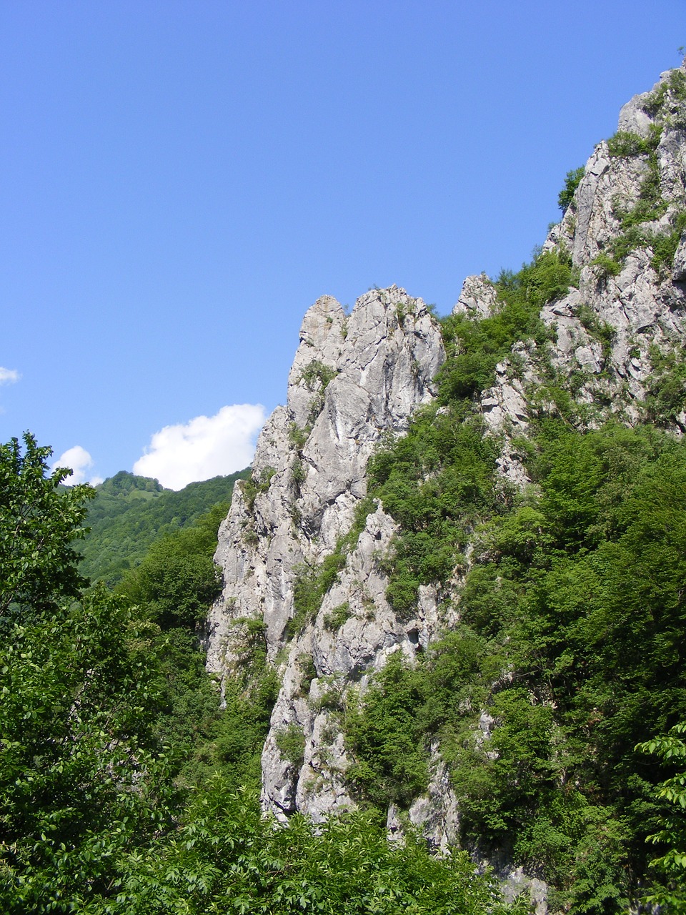 Cerna, Godeanu, Kalnai, Retezatas, Kelias, Kelionė, Slėnis, Gamta, Nemokamos Nuotraukos,  Nemokama Licenzija