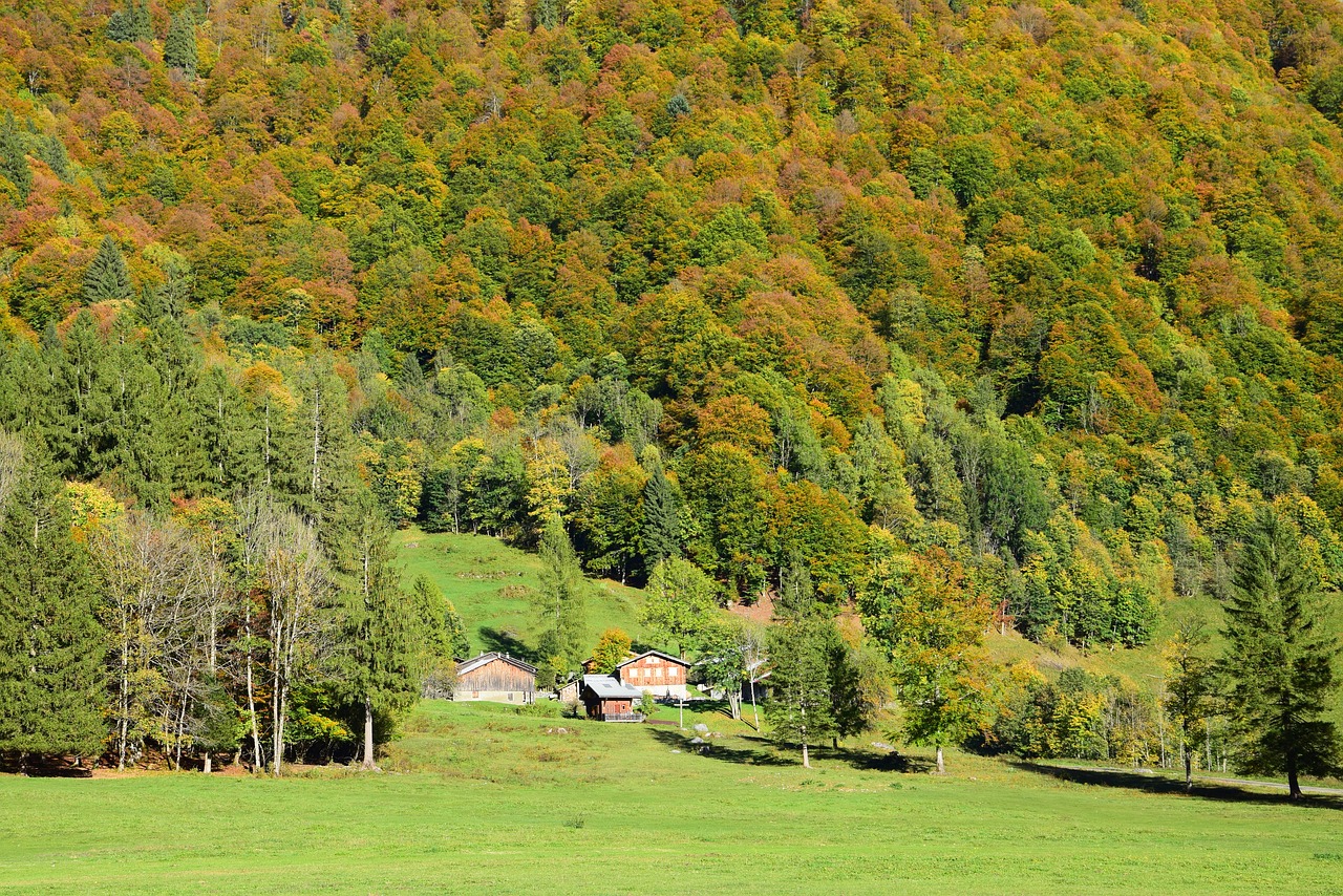 Chalet, Kalnas, Kritimas, Miškas, Pieva, Haute Savoie, Nemokamos Nuotraukos,  Nemokama Licenzija