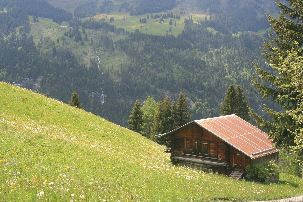 Chalet, Kajutė, Namelis, Alpės, Alpių, Šveicarija, Namas, Hillside, Kalnas, Kalnai